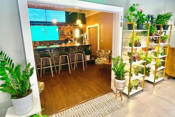 softlaunchseedcafe